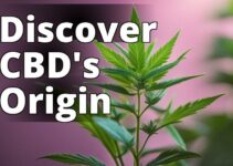 The Beginner’S Guide To Cbd: What Does Cbd Stand For And How It Can Benefit Your Health