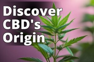The Beginner’S Guide To Cbd: What Does Cbd Stand For And How It Can Benefit Your Health