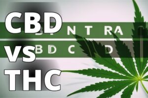 Health And Wellness: A Complete Guide To Cbd Vs Thc