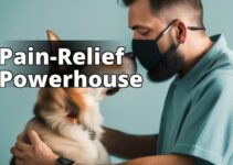 Unlock The Power Of Cbd Oil For Pain Relief In Dogs – A Complete Guide
