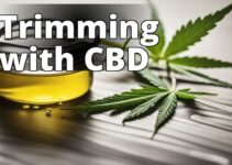 The Power Of Cbd Oil For Weight Management: Unleash Your Potential