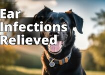 Cbd Oil: The Ultimate Solution For Dog Ear Infections