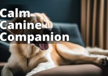 The Ultimate Guide To Cbd Oil Benefits For Anxiety In Dogs: Pet Care Revolution