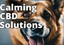 The Ultimate Guide To The Best Cbd For Reactive Dogs: Relieving Anxiety