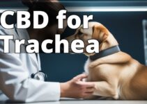 The Best Cbd For Collapsed Trachea In Dogs: A Complete Guide