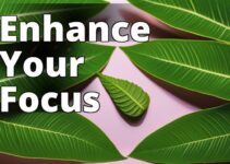 Discover The Best Kratom Strains For Laser-Sharp Focus And Clarity
