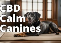 The Best Cbd For Hyper Dogs: Calm Your Active Pup With Ease