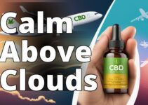 The Ultimate Guide To Cbd For Flying Anxiety Relief